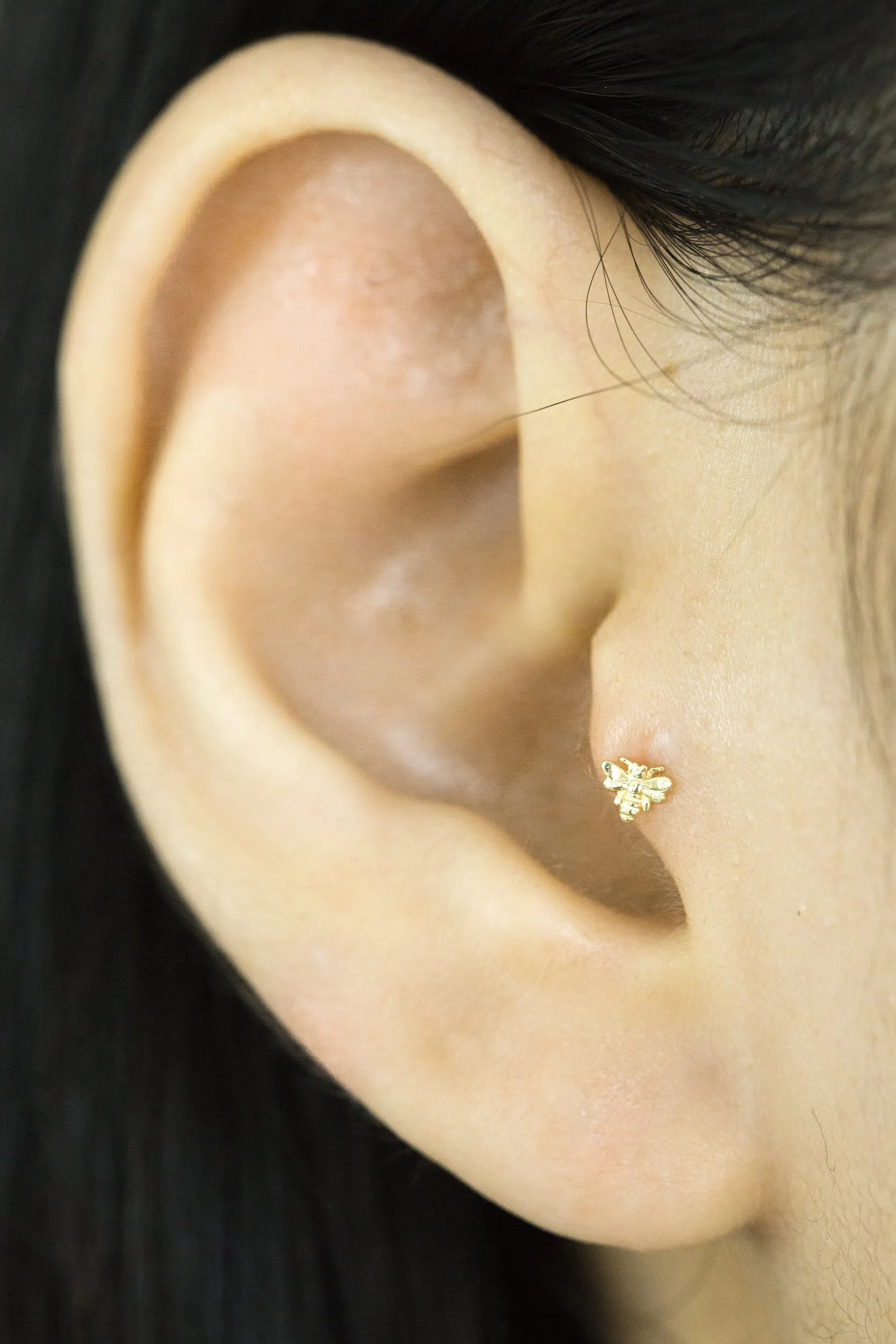 14K Real Gold Minimalist Solitaire Animal Forward Helix Cartilage Tragus Inner Conch Ear Stud Post Internally Threaded Flat Back Earring Labret Jewelry