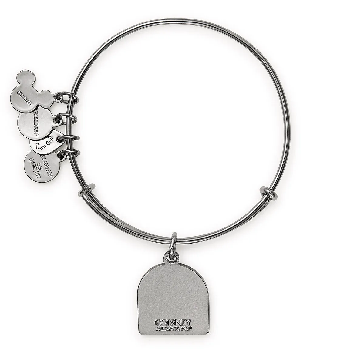 Disney Hocus Pocus Charm Bangle