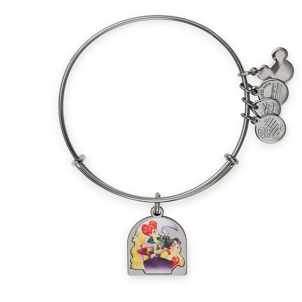 Disney Hocus Pocus Charm Bangle