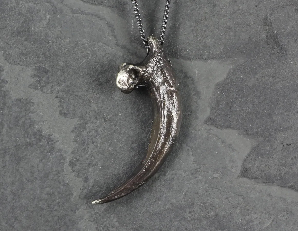 Harpy Eagle Talon Necklace - Silver