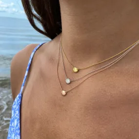 Seashell Necklace